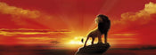 Komar The Lion King Papier Peint 202x73cm | yourdeclineoration.com