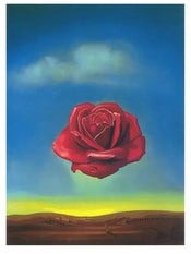 Affiche Art Salvador Dali Rose Meditative 60x80cm SD 883 | yourdeclineoration.com