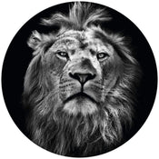 Wizard+Genius Lion Papier Peint Intissé 140x140cm rond | yourdeclineoration.com