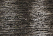 Komar Birkenrinde Papier Peint 368x254cm | yourdeclineoration.com