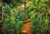 Komar Jungle Trail Papier Peint 368x254cm | yourdeclineoration.com