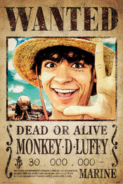 Affiche Poster One Piece Netflix Wanted Monkey D Luffy 61x91.5cm Grupo Erik GPE5779 | yourdeclineoration.com