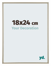 Annecy Plastique Cadre Photo 18x24cm Champagne De Face Mesure | yourdeclineoration.com