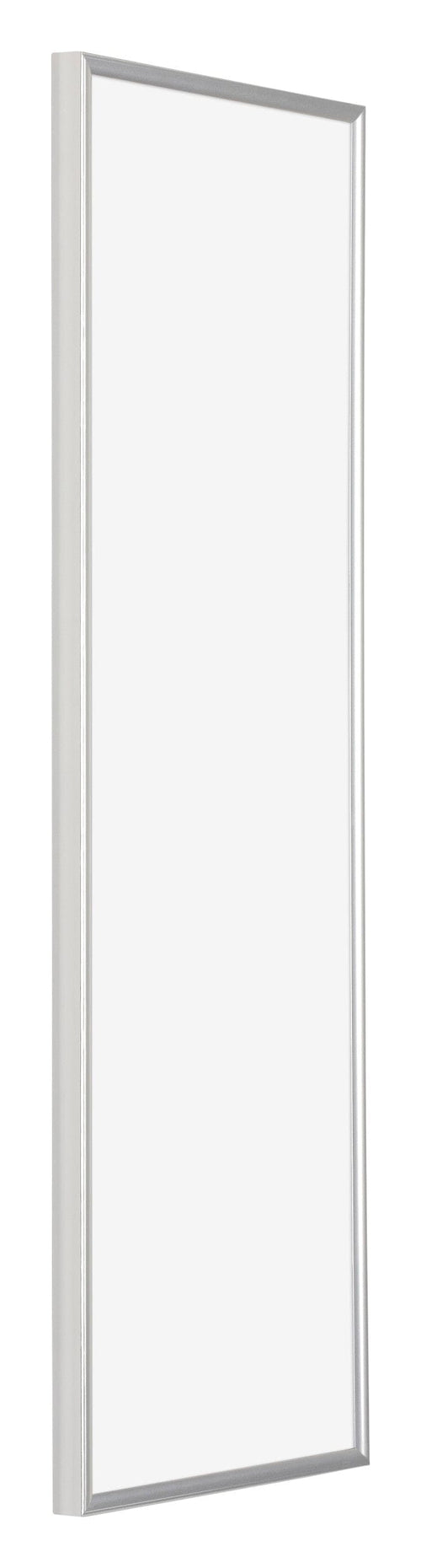 Evry Plastique Cadre Photo 20x60cm Argent De Face Oblique | yourdeclineoration.com
