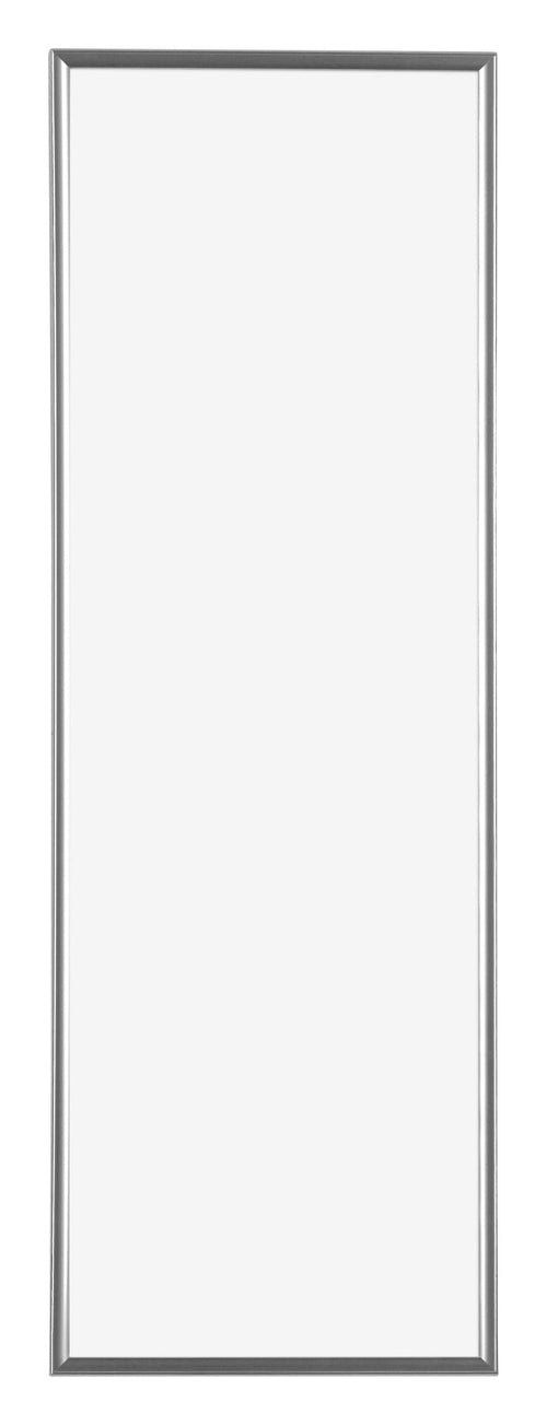 Evry Plastique Cadre Photo 20x60cm Argent De Face | yourdeclineoration.com