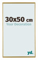 Evry Plastique Cadre Photo 30x50cm Or De Face Mesure | yourdeclineoration.com