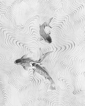 Komar Perfect Pond Intisse Papier Peint 200x250cm 2 bandes | yourdeclineoration.com