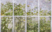 Komar Secret Stash Intisse Papier Peint 400x250cm 4 bandes | yourdeclineoration.com
