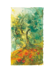 PGM UHA 02 Ulrich Hartig Oliven und Mohn Affiche Art 50x70cm | yourdeclineoration.com