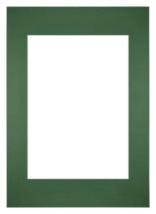 Passe Partout 59 4x84cm A1 A2 Carton Vert Foret Bord Droit De Face | yourdeclineoration.com