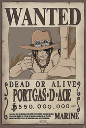 One Piece Wanted Ace Affiche 61X91 5cm | yourdeclineoration.com