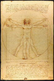 Poster Vitruvian Man 61x91 5cm Grupo Erik GPE5819 | yourdeclineoration.com