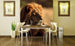 Dimex Lion Papier Peint 225x250cm 3 bandes ambiance | yourdeclineoration.com