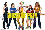 GBeye Birds of Prey Group Affiche 91,5x61cm | yourdeclineoration.com