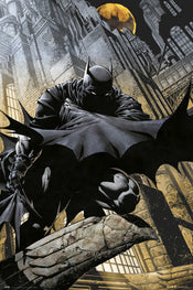 Grupo Erik GPE5340 Dc Comics Batman Gargoyle Affiche 61X91,5cm | yourdeclineoration.com