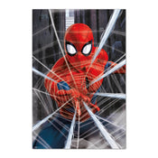 Grupo Erik Gpe5644 Marvel Spider Man Gotcha Affiche 61X91 5cm | yourdeclineoration.com