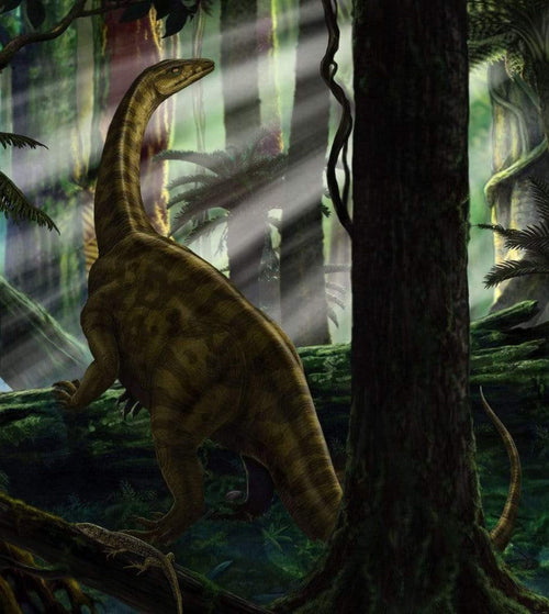 Komar Riojasaurus Forest Papier Peint Intissé 250x280cm 5 bandes | yourdeclineoration.com