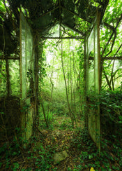 Komar Intisse Papier Peint Shx4 158 Greenhouse | yourdeclineoration.com
