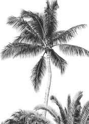 Komar Intisse Papier Peint Iax4 0011 Retro Palm  | yourdeclineoration.com