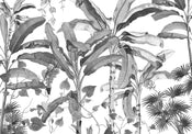 Komar Intisse Papier Peint Inx8 082 Croissances Monochrome | yourdeclineoration.com
