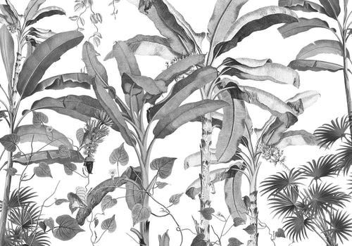 Komar Intisse Papier Peint Inx8 082 Croissances Monochrome | yourdeclineoration.com
