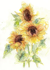 Komar Intisse Papier Peint X4 1008 Girasol | yourdeclineoration.com