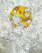 Komar Intisse Papier Peint X4 1020 Karma | yourdeclineoration.com