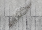 Komar Intisse Papier Peint X7 1023 Concrete Feather | yourdeclineoration.com