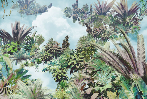 Komar Intisse Papier Peint Xxl4 1025 Tropical Heaven | yourdeclineoration.com