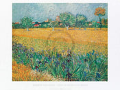 Vincent Van Gogh  Vista di Arles Con Irises affiche art 80x60cm | yourdeclineoration.com
