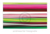 Andreas Feil  Fotografie II affiche art 138x95cm | yourdeclineoration.com
