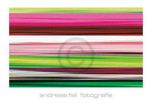Andreas Feil  Fotografie II affiche art 138x95cm | yourdeclineoration.com