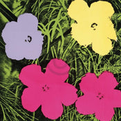 Andy Warhol  Flowers C. 1964 affiche art 60x60cm | yourdeclineoration.com