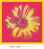 Andy Warhol  Daisy 1982 affiche art 90x90cm | yourdeclineoration.com
