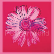 Andy Warhol  Daisy 1982 affiche art 90x90cm | yourdeclineoration.com