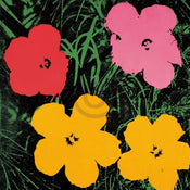 Andy Warhol  Flowers C. 1964 affiche art 60x60cm | yourdeclineoration.com