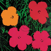 Andy Warhol  Flowers C. 1964 affiche art 60x60cm | yourdeclineoration.com