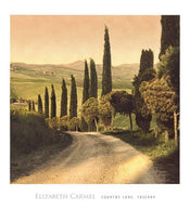 Elisabeth Carmel  Country Lane, Tuscany affiche art 45x50cm | yourdeclineoration.com