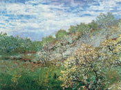 Claude Monet  BÃ¤ume in BlÃ¼te affiche art 80x60cm | yourdeclineoration.com