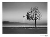 Christian Coigny  Lutry Lac Lemon affiche art 80x60cm | yourdeclineoration.com