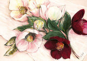 Elisabeth Krobs  Elegant Anemones affiche art 100x70cm | yourdeclineoration.com