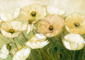 Elisabeth Krobs  Tender Poppies affiche art 29.7x21cm | yourdeclineoration.com