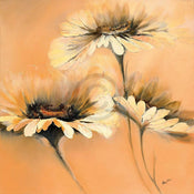 Elena Filatov  Apricot Summer I affiche art 70x70cm | yourdeclineoration.com
