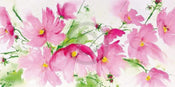 Heidi Reil  Rosa Kosmeen affiche art 100x50cm | yourdeclineoration.com