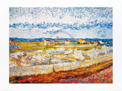 Vincent Van Gogh  Pesco in fiore affiche art 80x60cm | yourdeclineoration.com