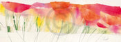 Marta Peuckert  Poppy ribbon red affiche art 100x35cm | yourdeclineoration.com