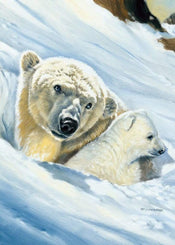 Renato Casaro  EisbÃ¤r Mama affiche art 50x70cm | yourdeclineoration.com