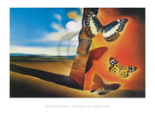 Salvador Dali  Paysage aux Papillons affiche art 80x60cm | yourdeclineoration.com