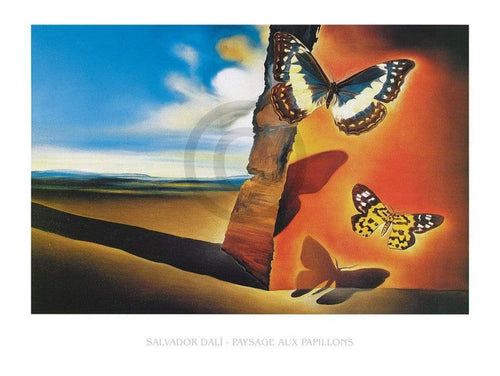 Salvador Dali  Paysage aux Papillons affiche art 80x60cm | yourdeclineoration.com