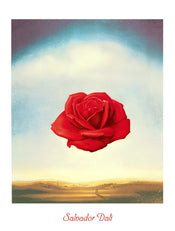 Salvador Dali  Rose meditative affiche art 60x80cm | yourdeclineoration.com